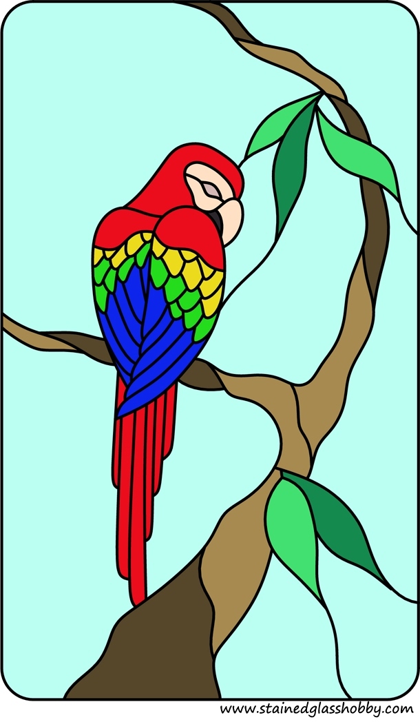 bird patterns