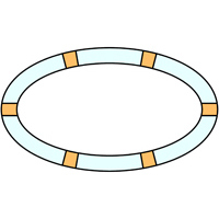 Elliptical frame stained glass pattern